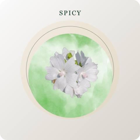 Spicy